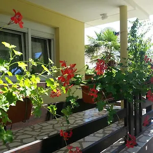 Perunika , Zadar Chorwacja